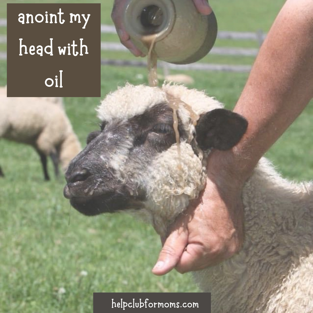 anointing oil on head