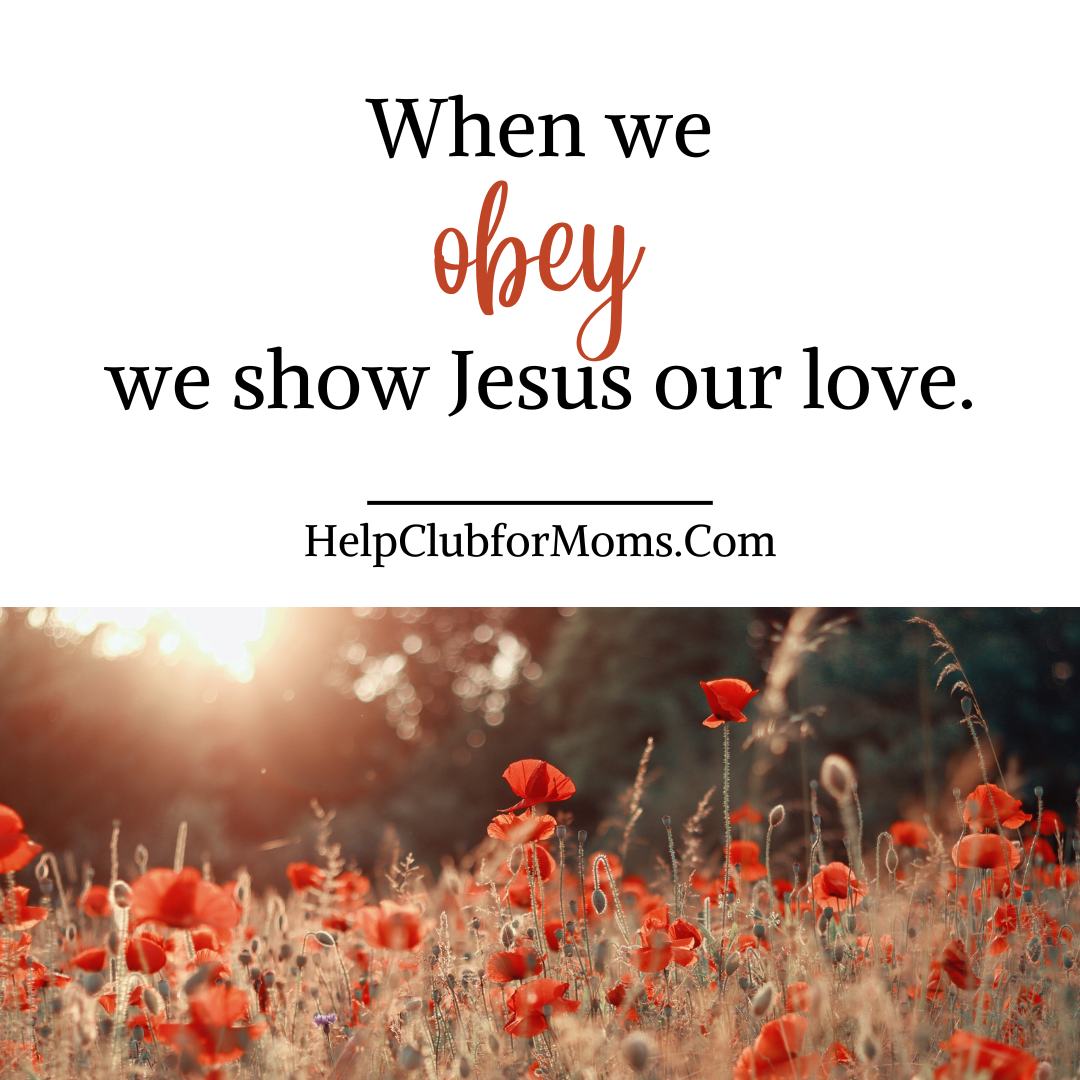Mom to Mom – Obedience Week 1- Abides