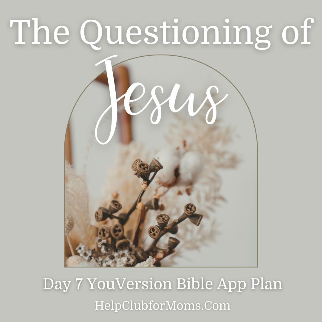 The Questioning of Jesus- Day 7