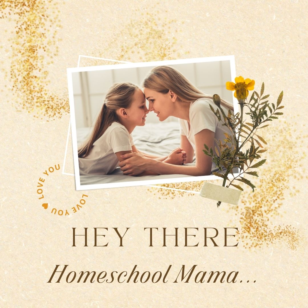 Hey There Homeschool Mama (Instagram Post)